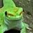 Florent - gecko arc
